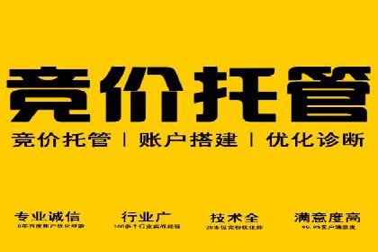 某公司SEM推广的失败教训与成功经验